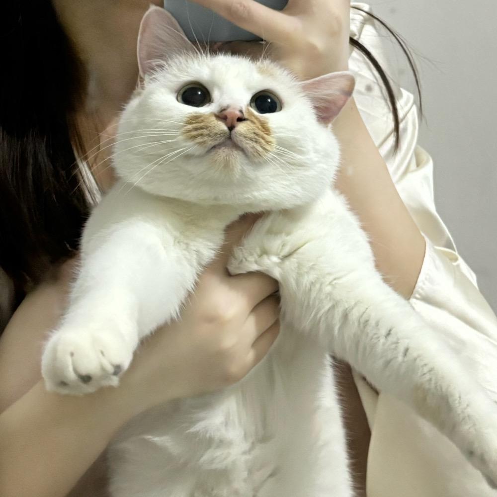 @明天穿什么