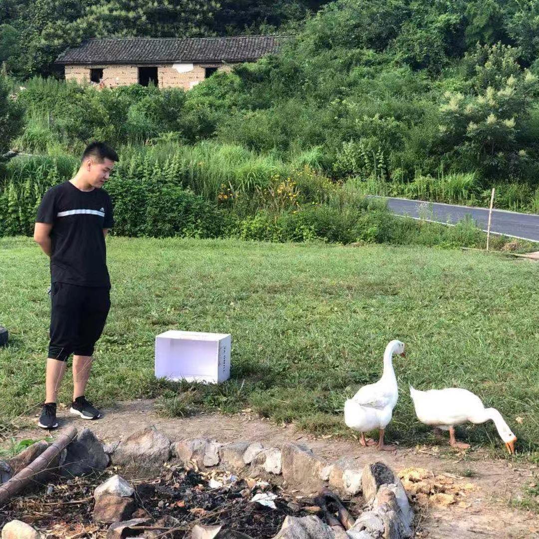 梦迪闲聊