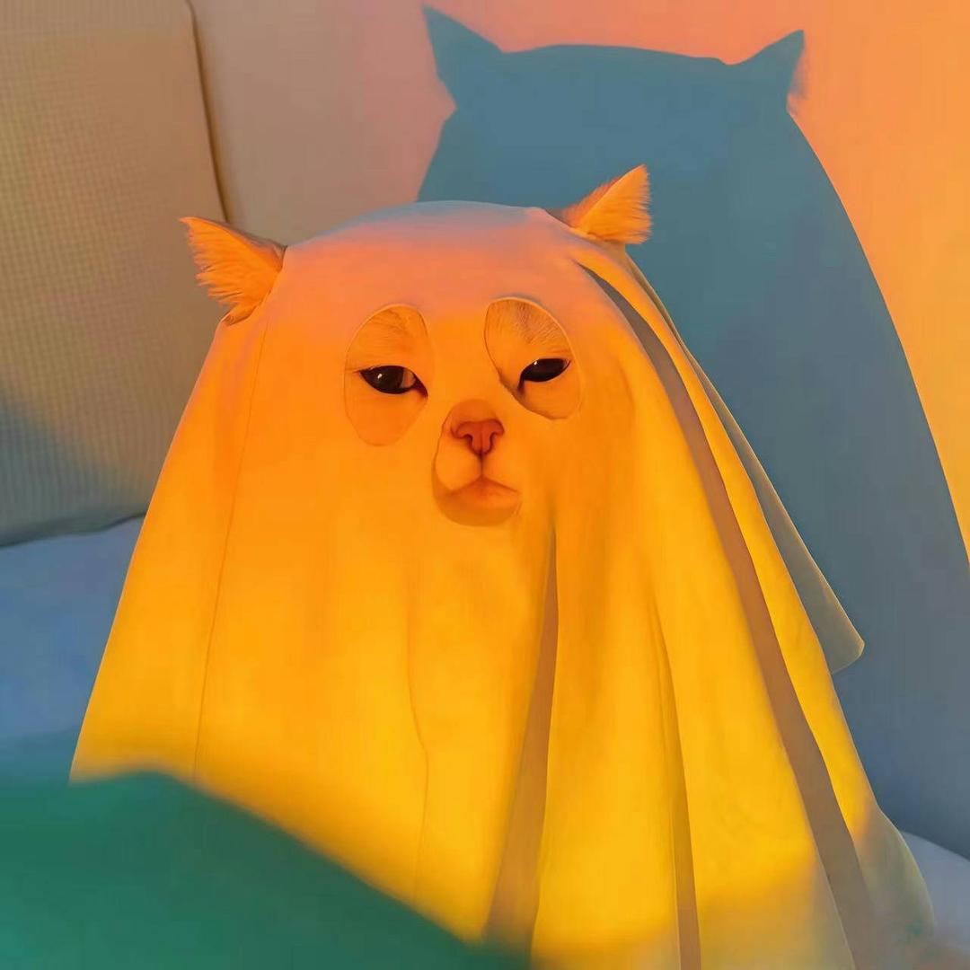 甜橙杜🍊