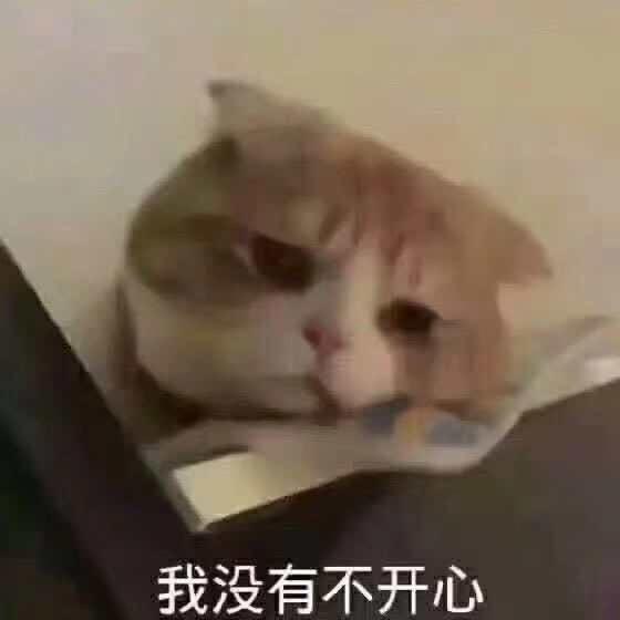 𝐆.安逸