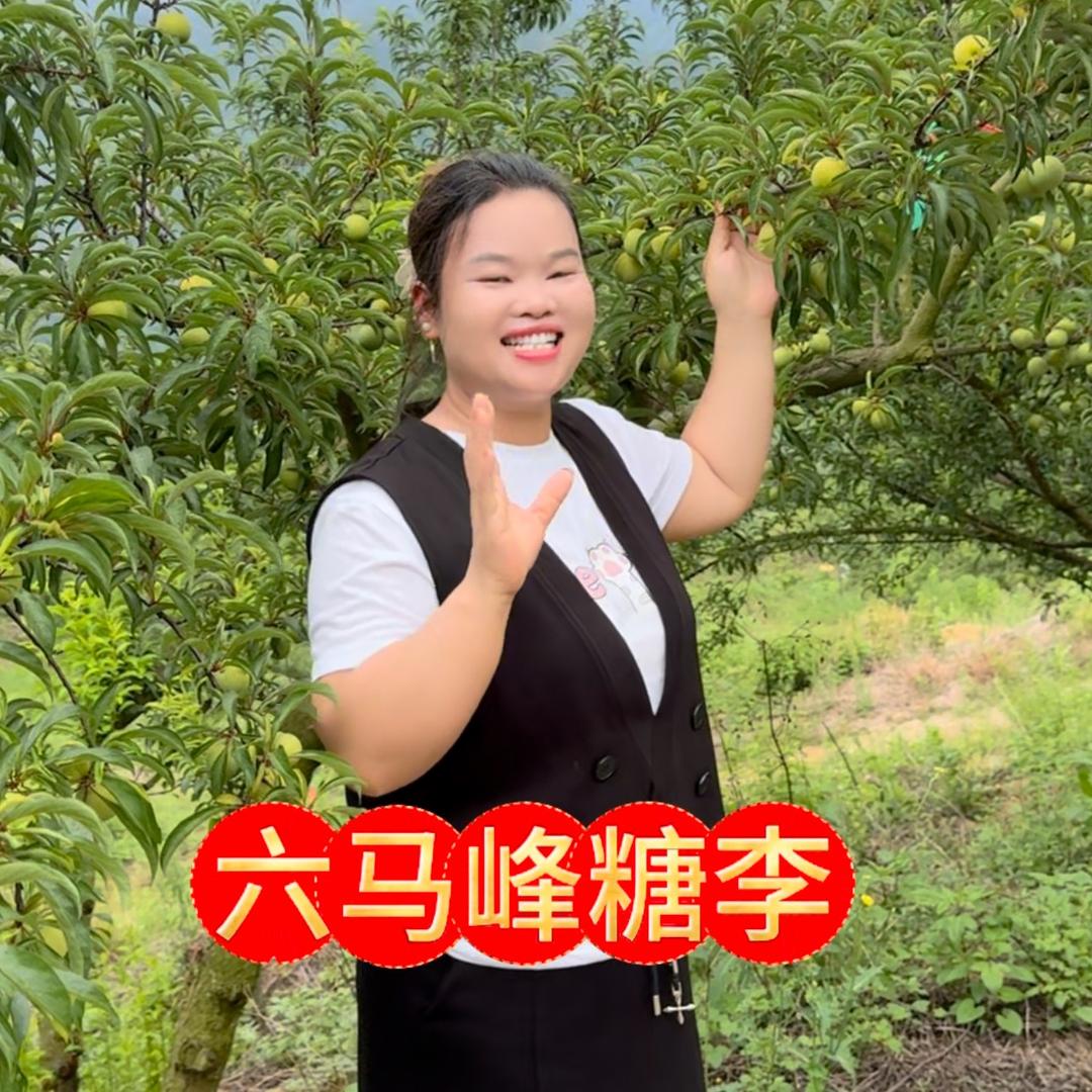 琴姐贵州农特产