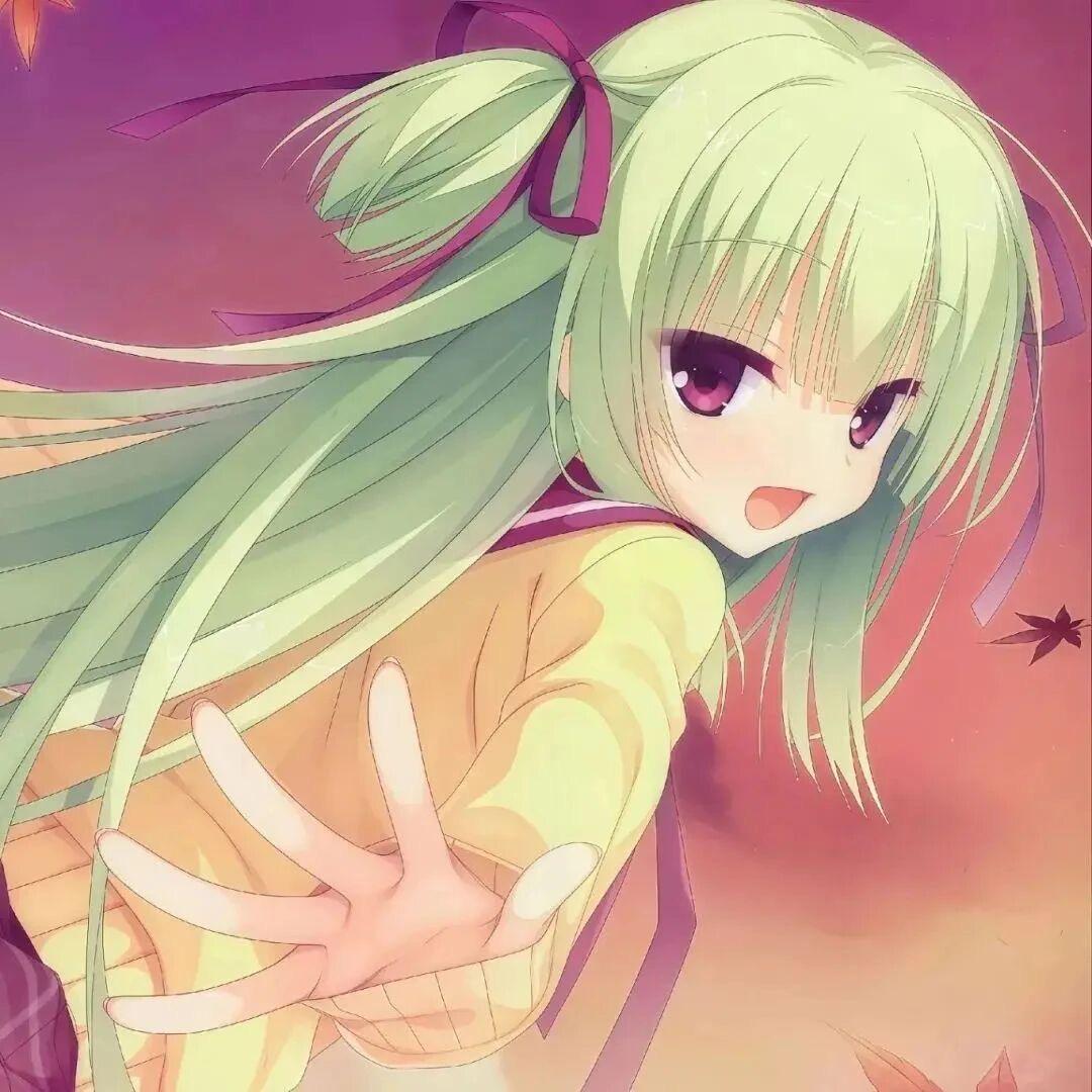 溪萝莉
