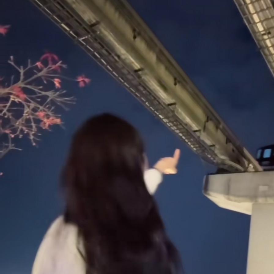 广州女鞋工厂（批发）