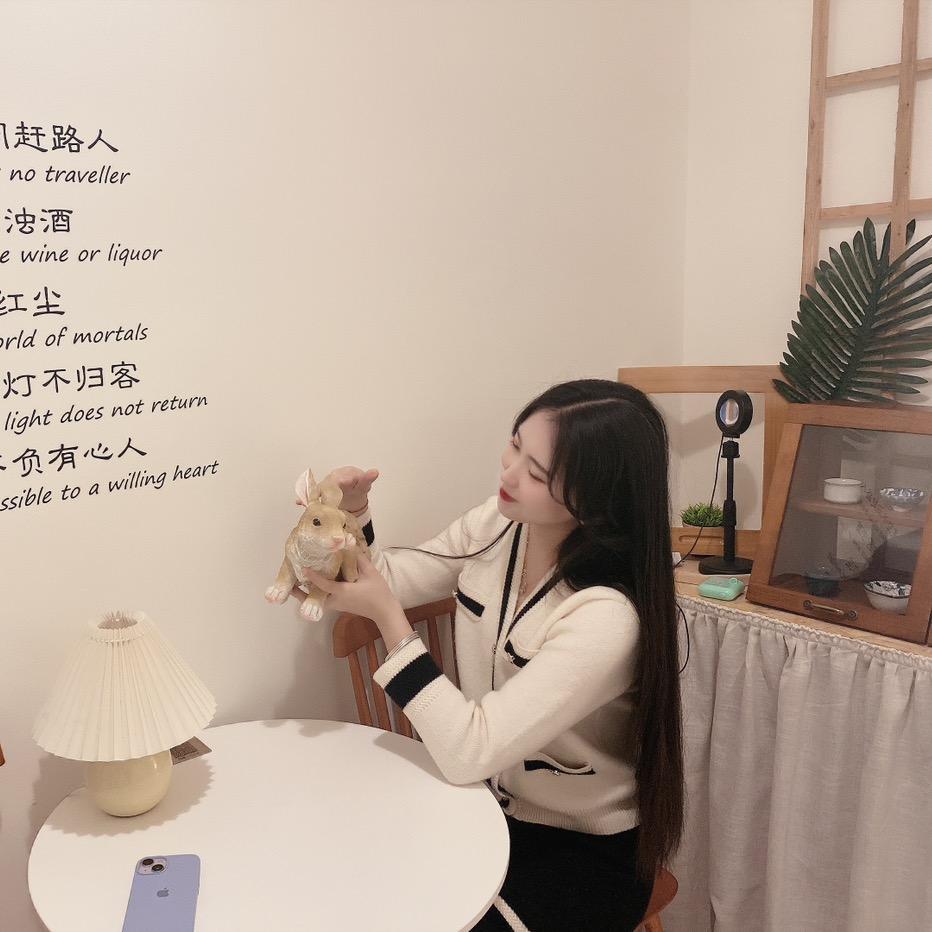 一只笨章鱼
