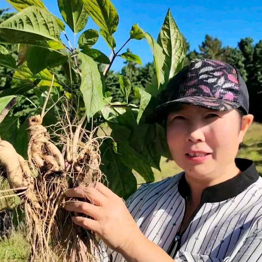 秋香大姐