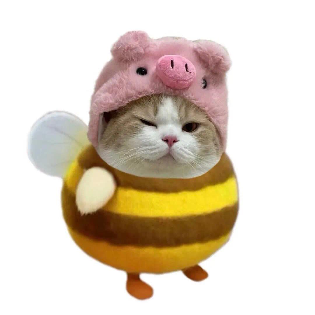 小地瓜