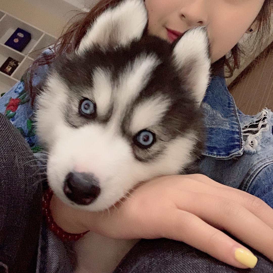 木木不拆家🤪