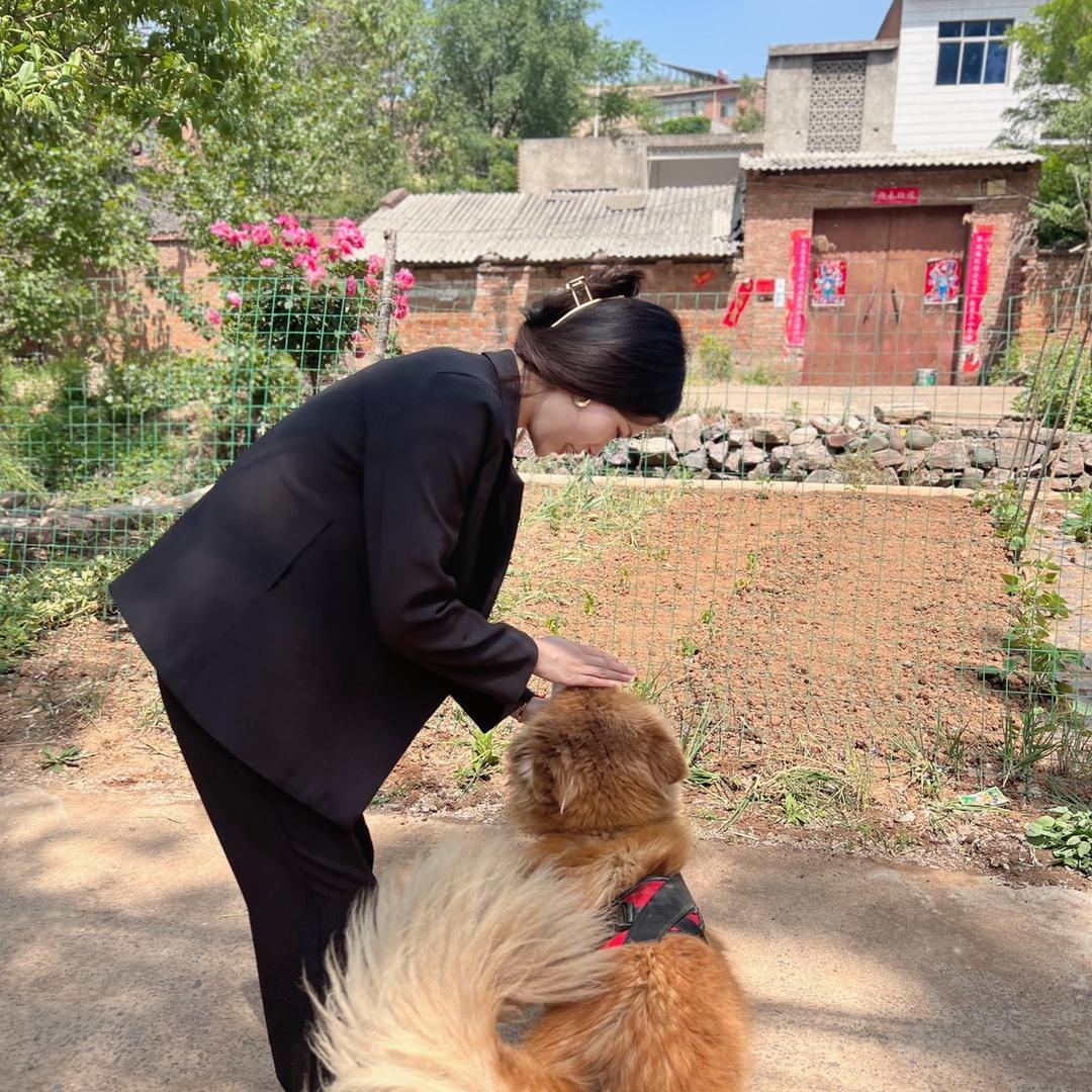 杨大大