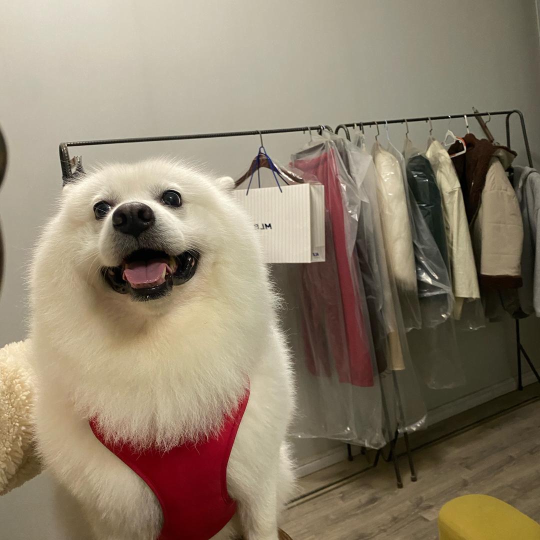 @大白耶