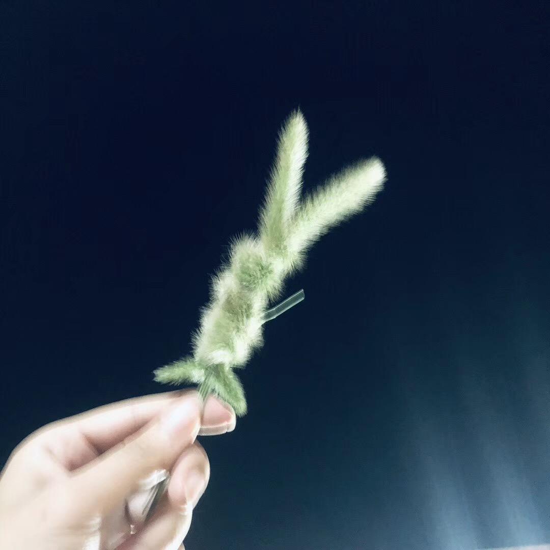 小 草