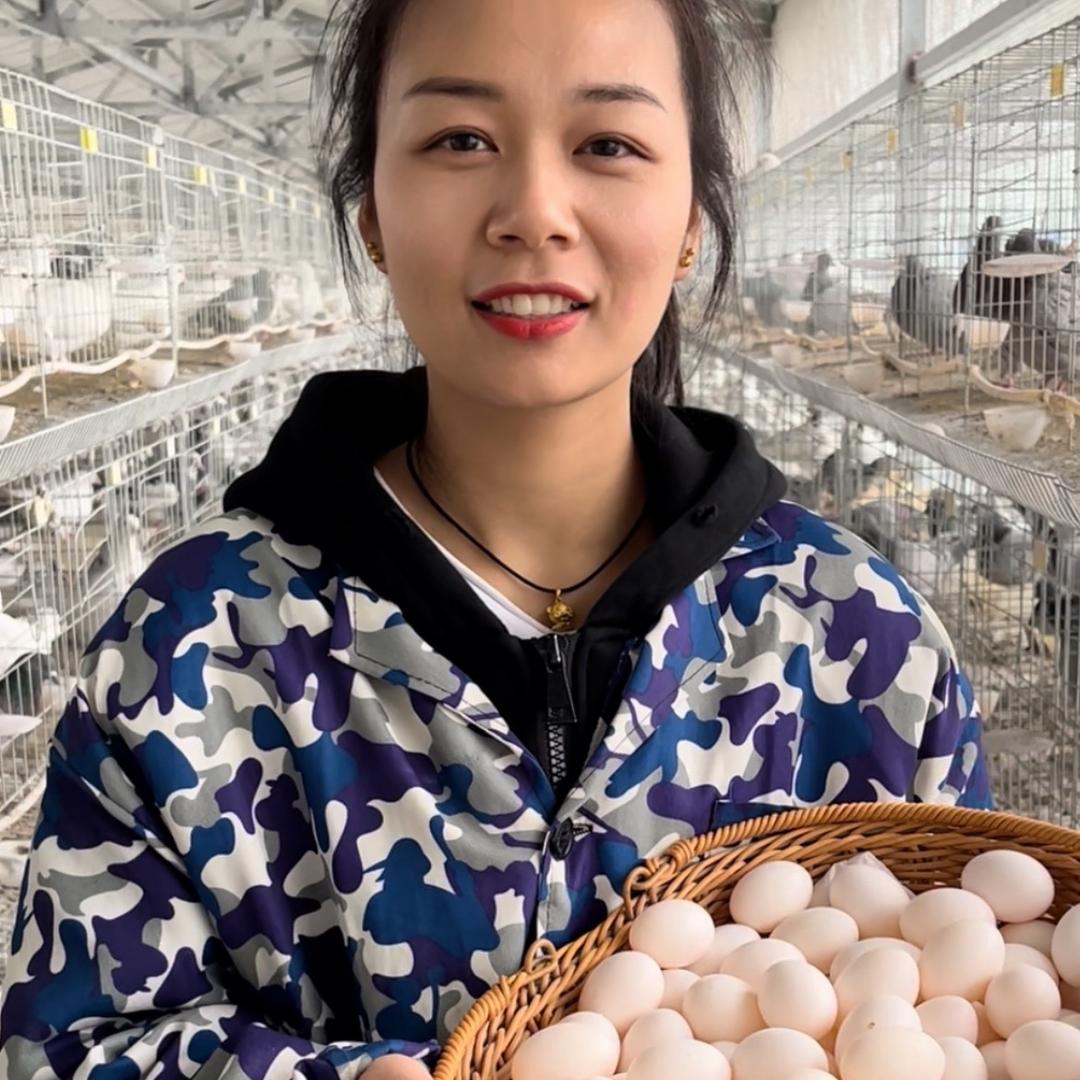 确山县农家杂粮鸽