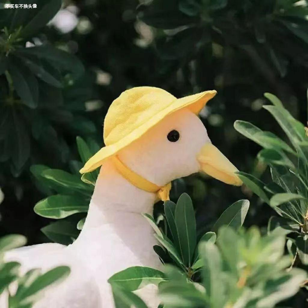 0.016（备藏中）