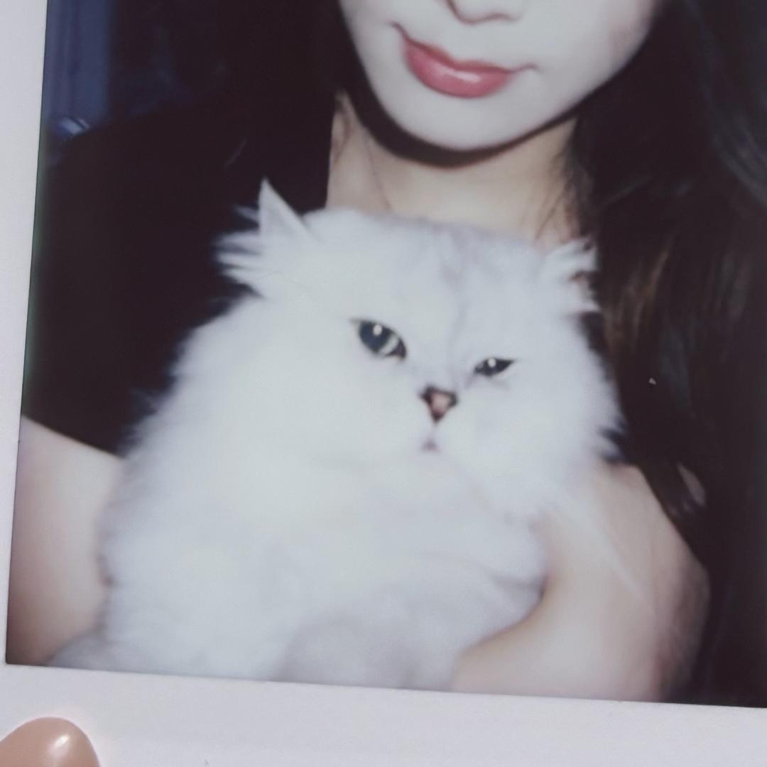HelloKT