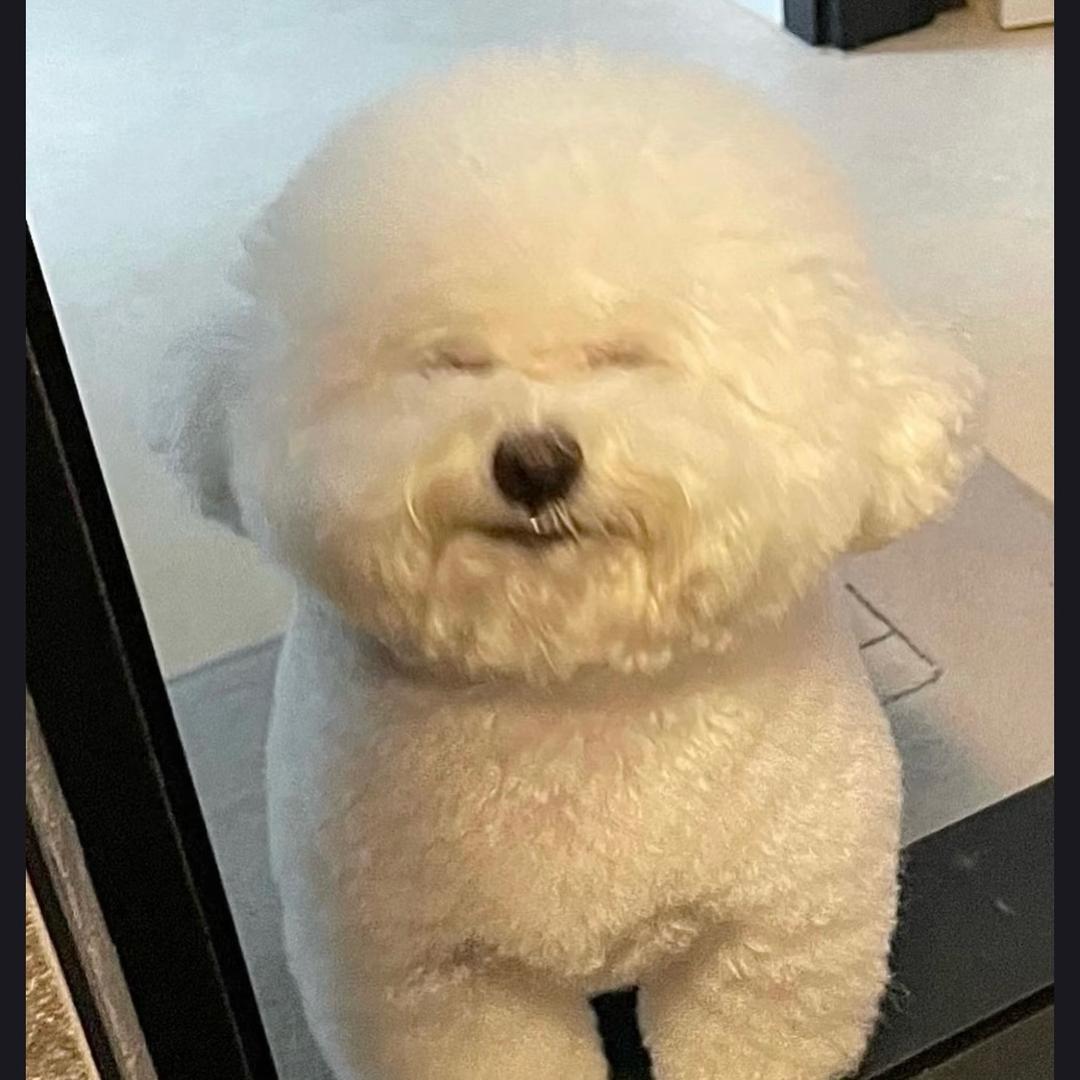 白雪公主有腿毛