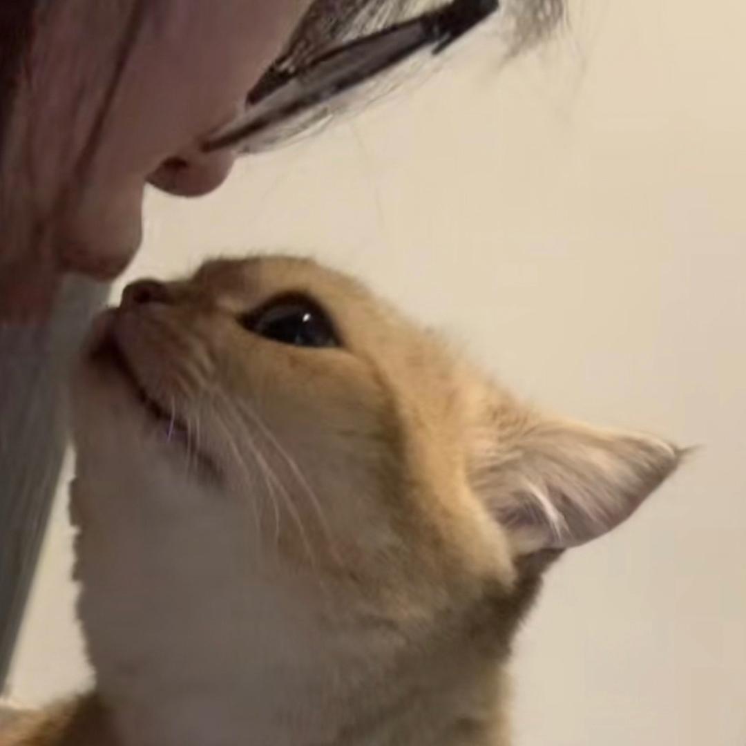 芝芝.