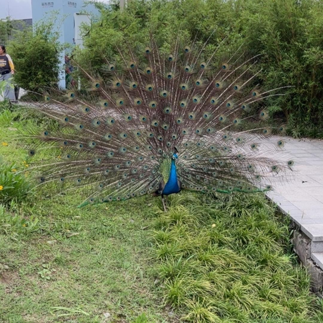 向阳☀️☀️☀️