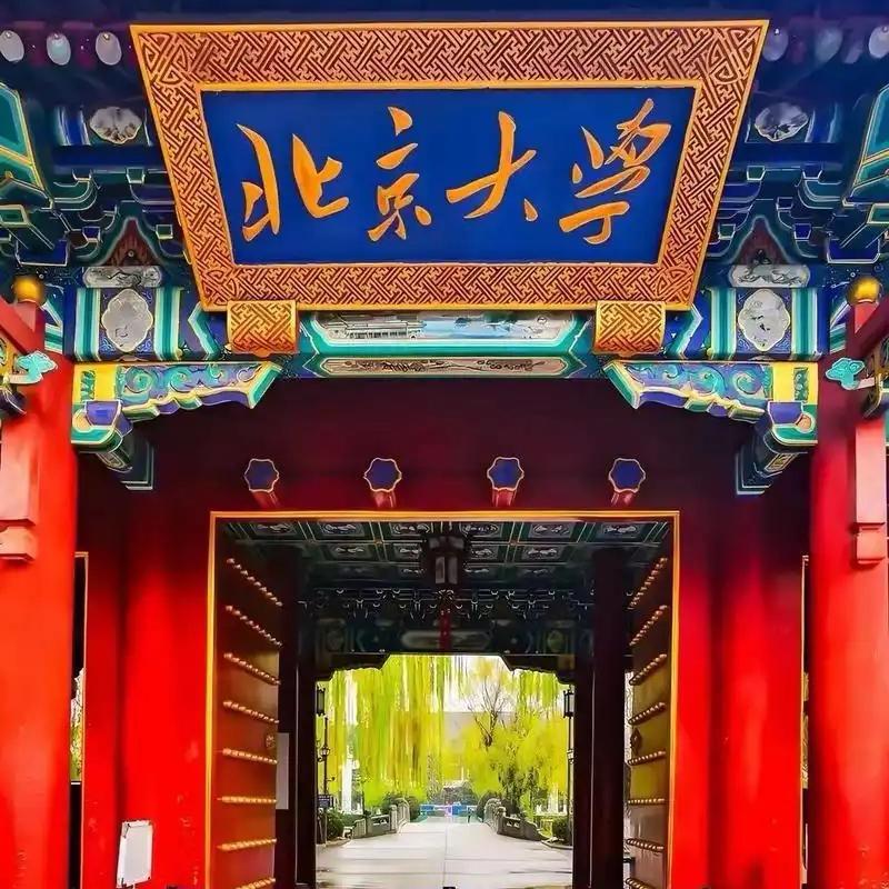 纯色