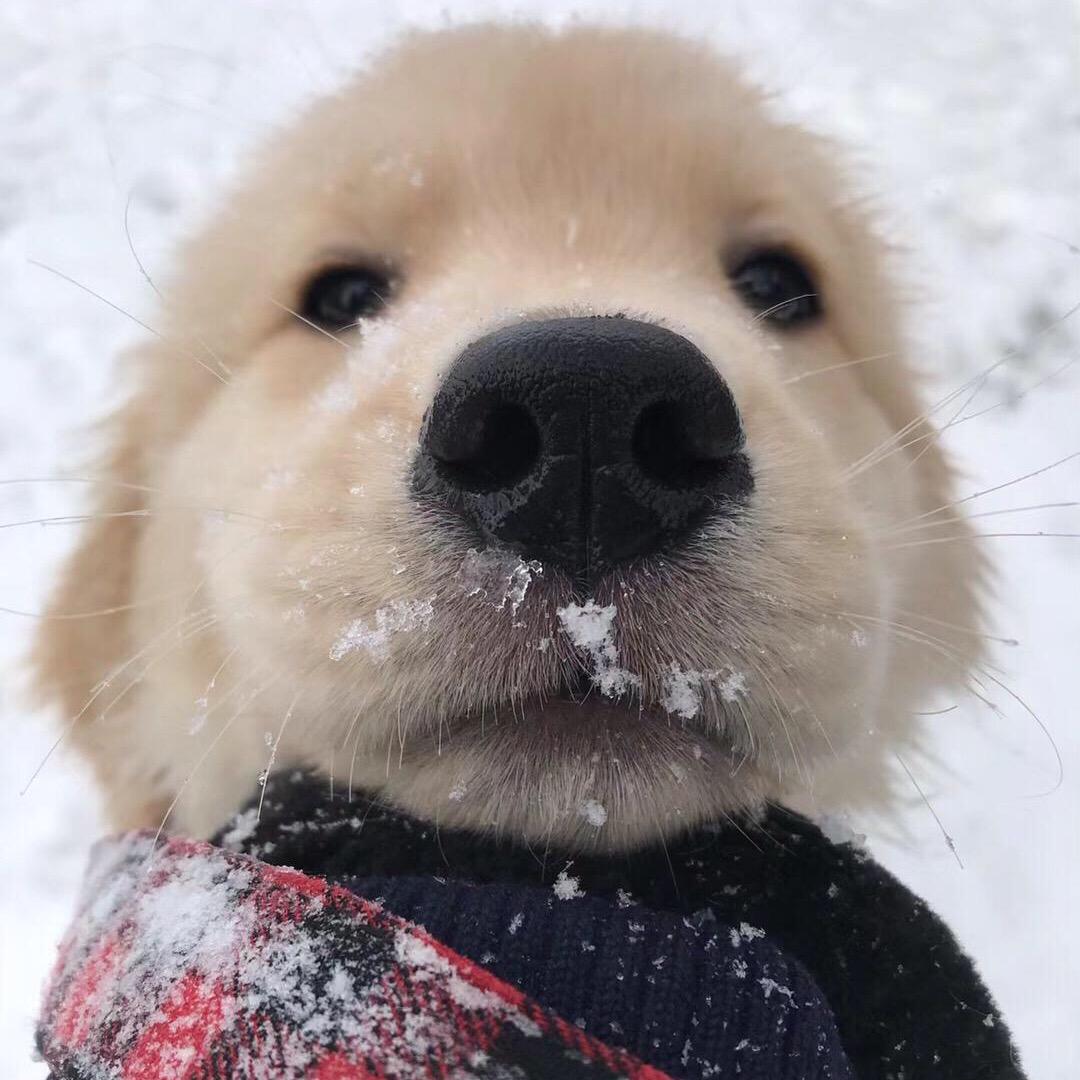 好丽屋营销总监小凡