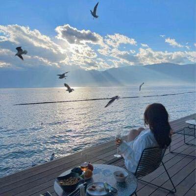 _豆格儿🦋