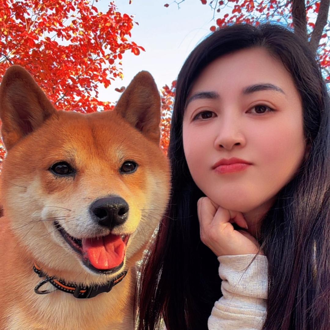 柴犬金宝和猫老弟