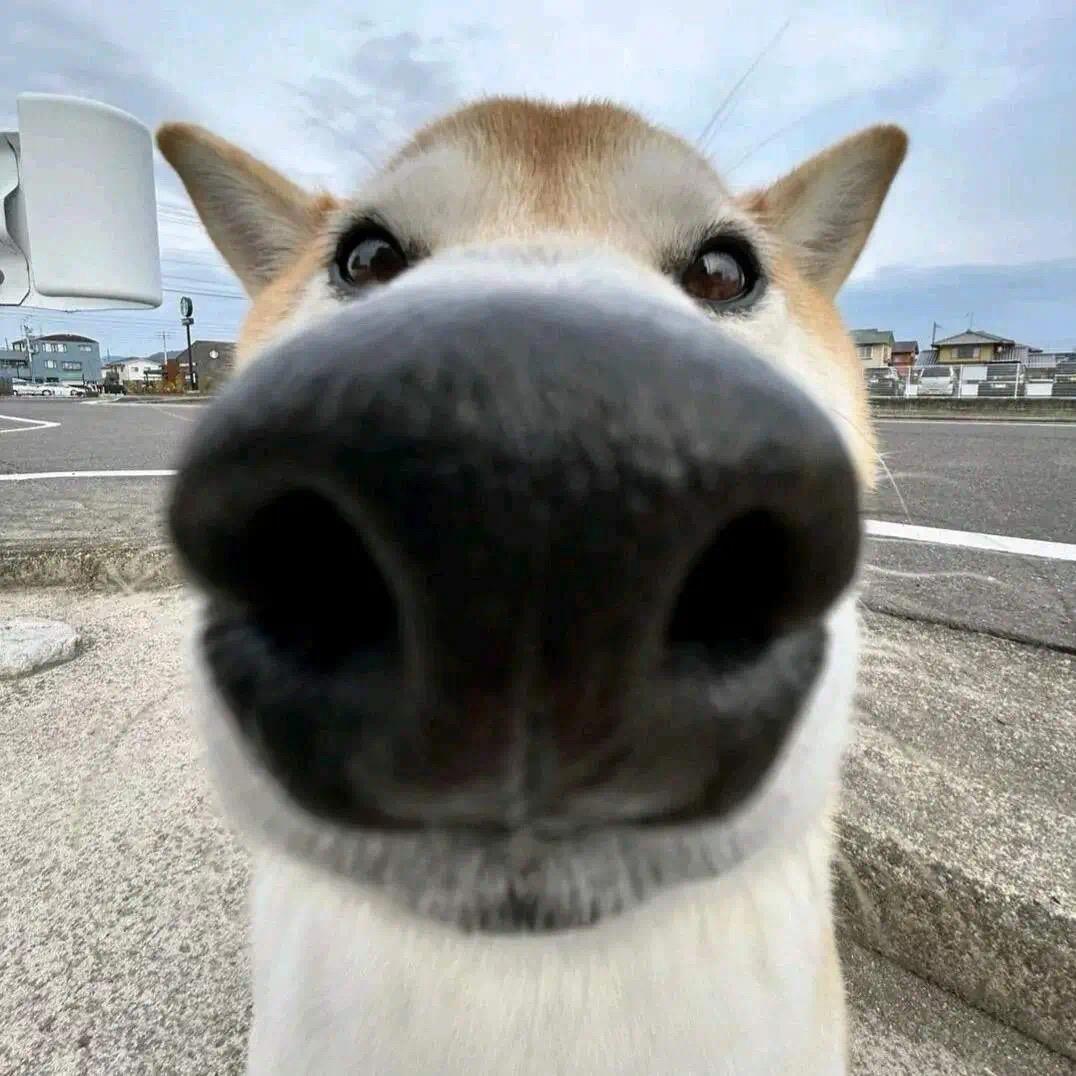 命运   自律版