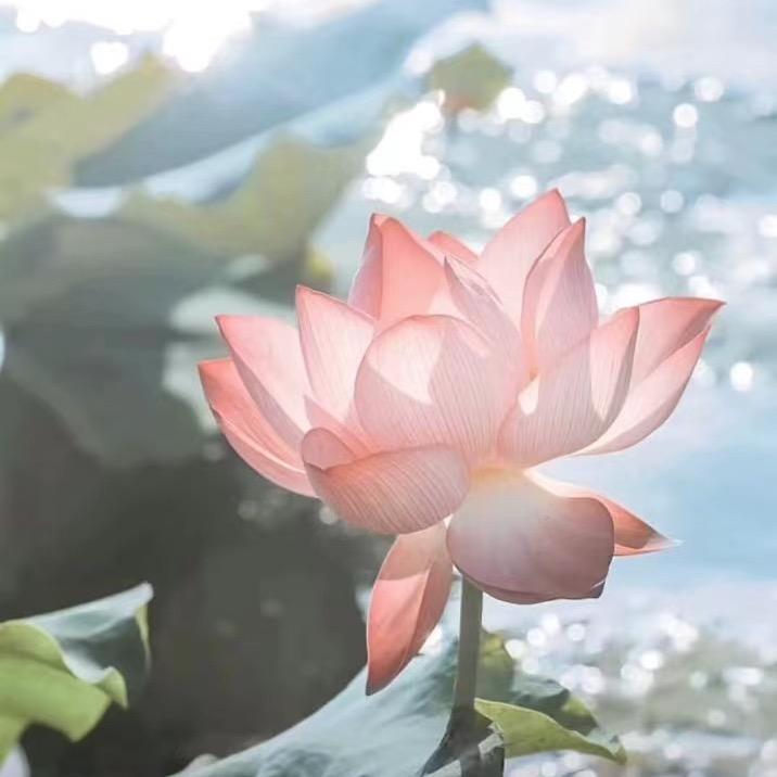 冬日阳光☀️