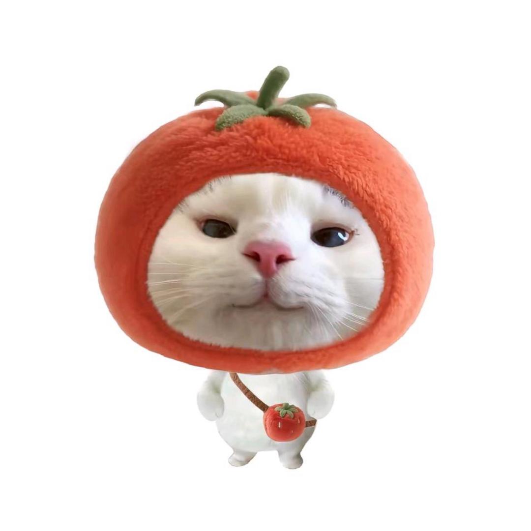 小原ovo