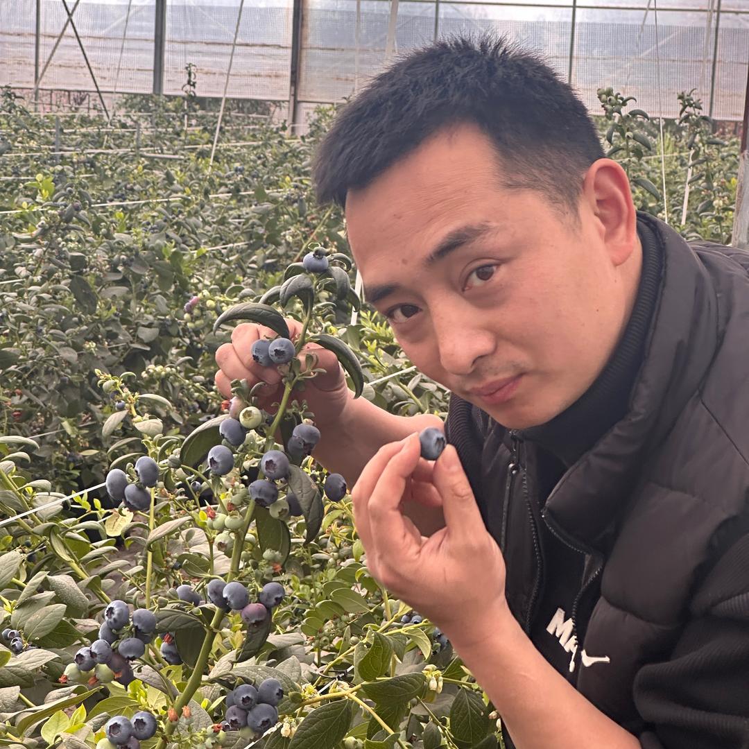 松林果品(林荫大道直营店)专用号