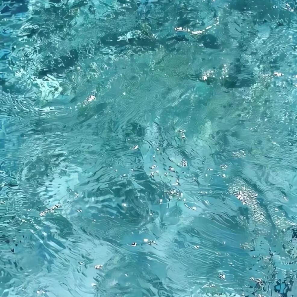 金水水（𨰻淼淼版）