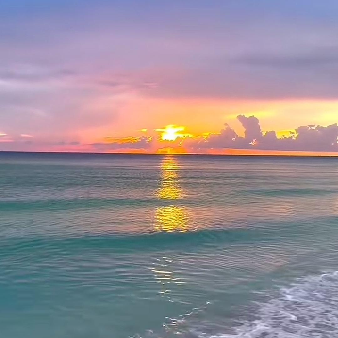 进口电器生活馆e