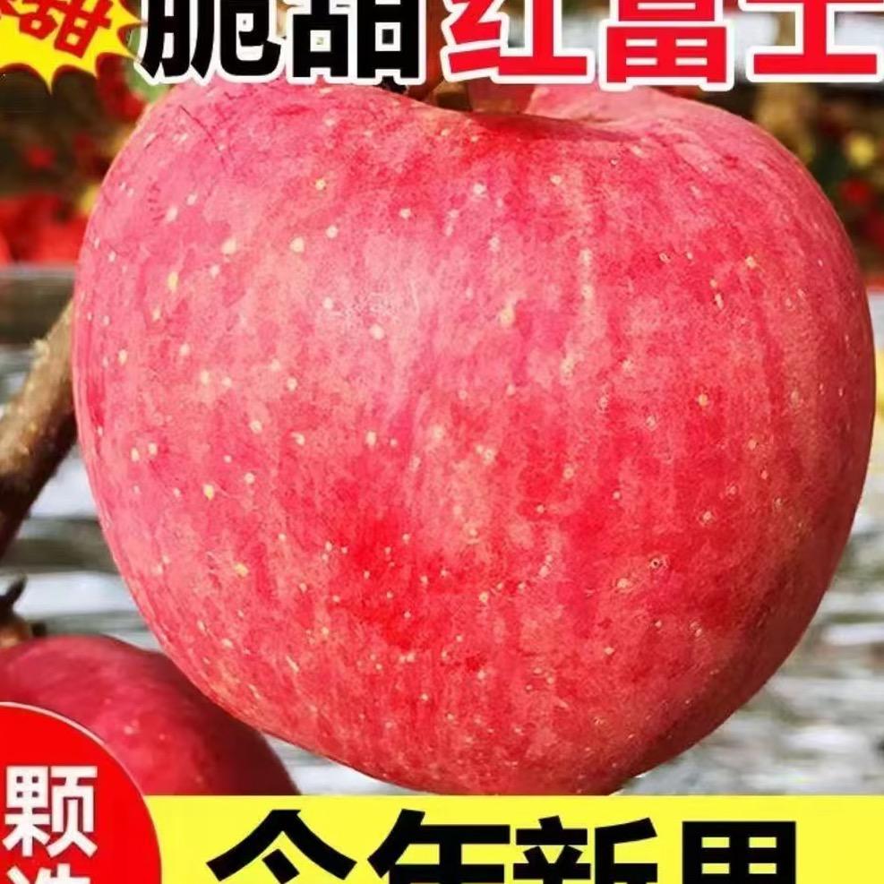 望江楼上望江流