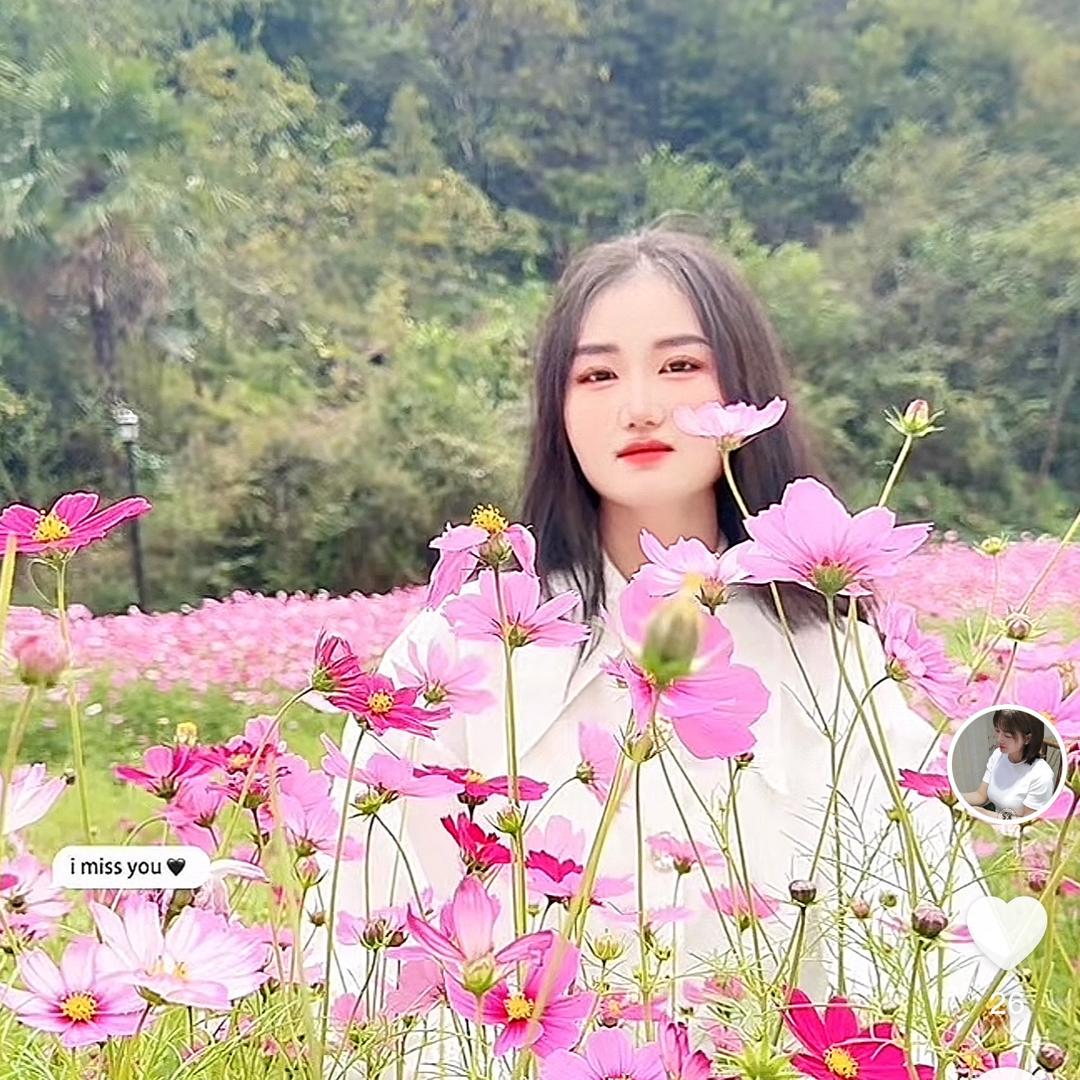 赵   太阳☀️当空照