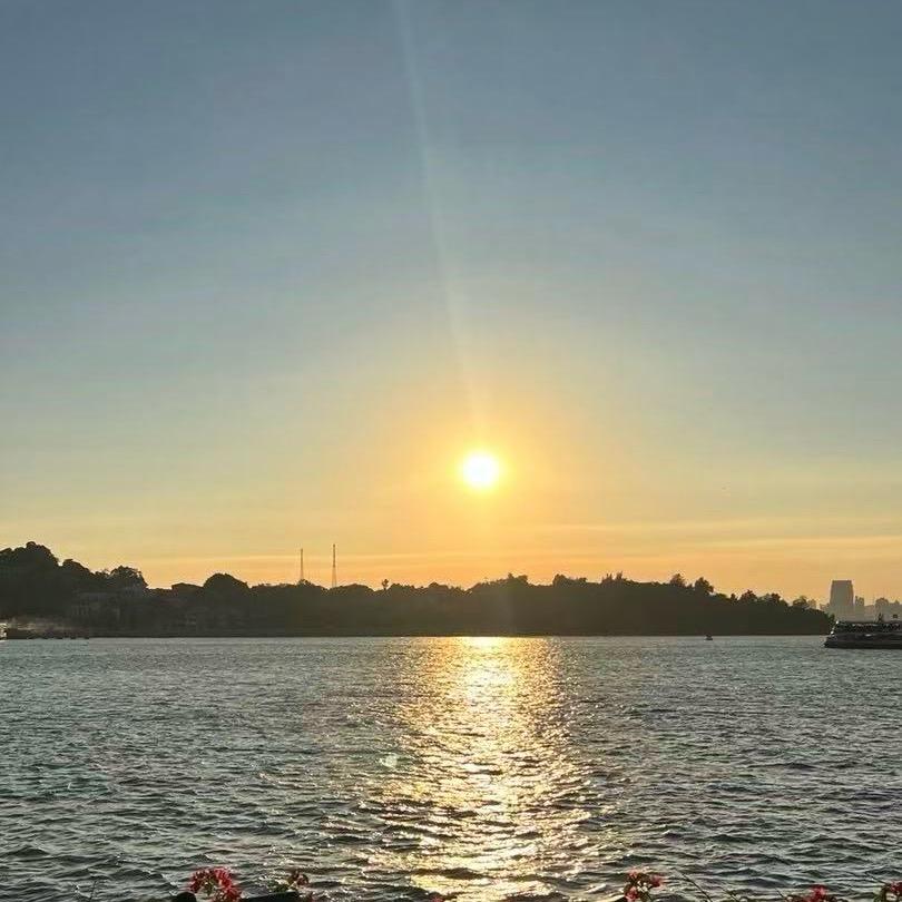 春华秋实（96110）