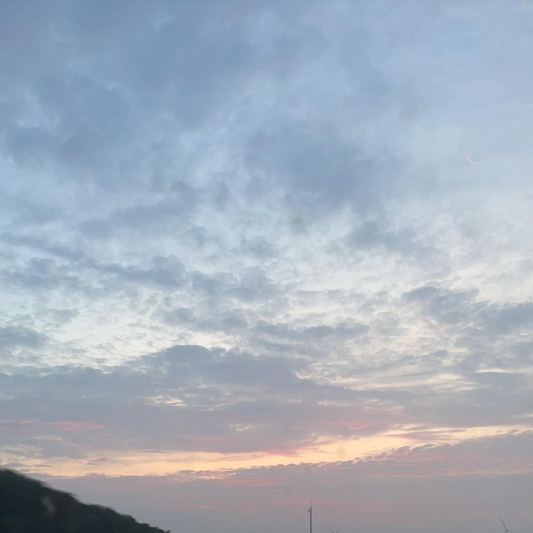 臭卖鱼的