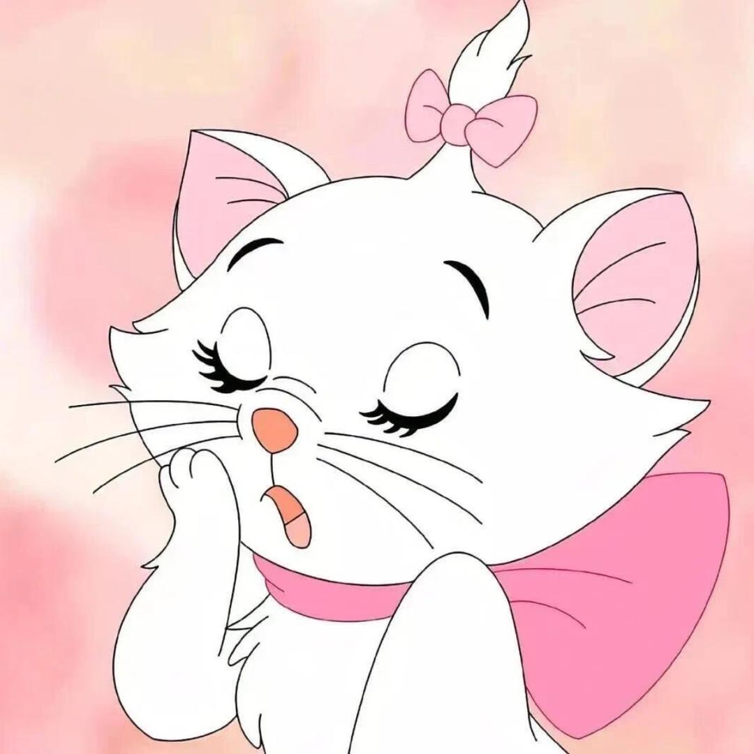 猪兔子🐽