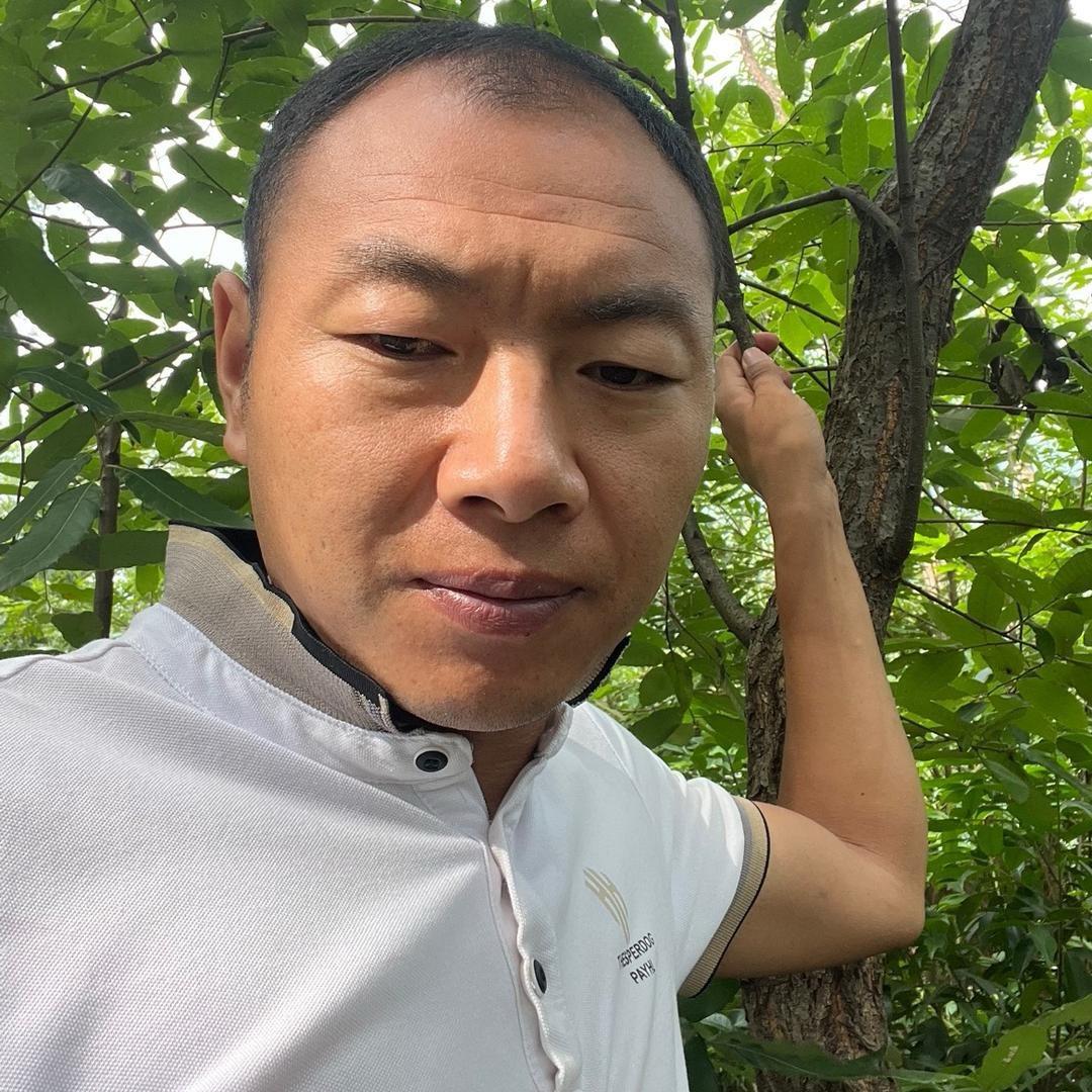 绿林兰花