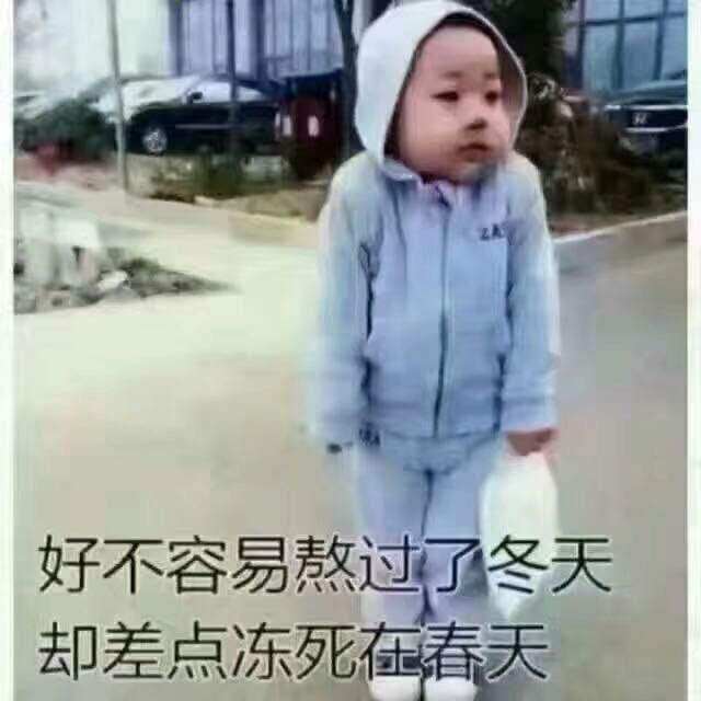G.飞哥（627）