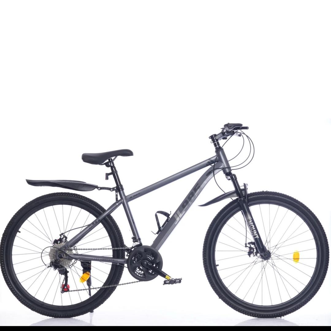 天津市飞鸽科技骑行店