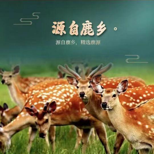 诚实 守信