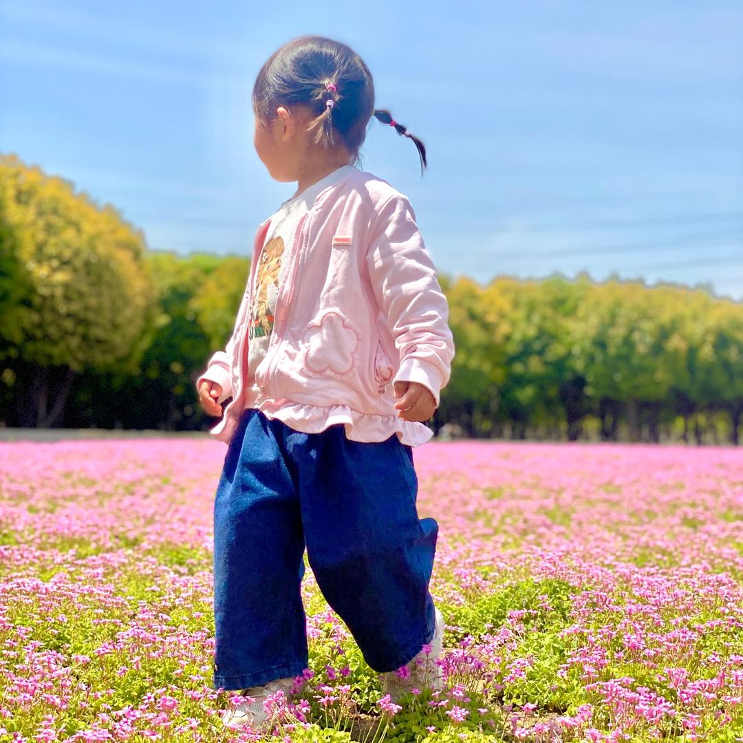 闹闹麻麻