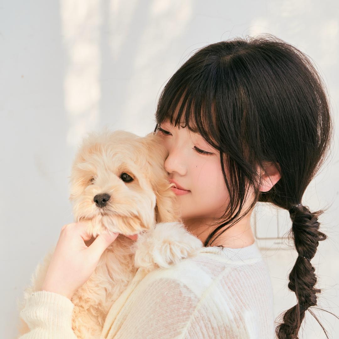 北京cockapoo可卡布犬舍