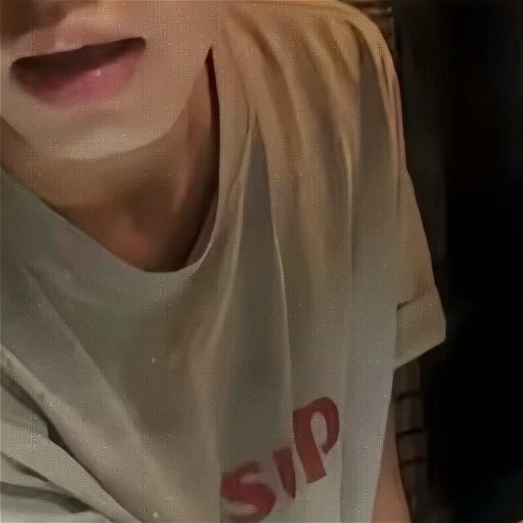 电子翼