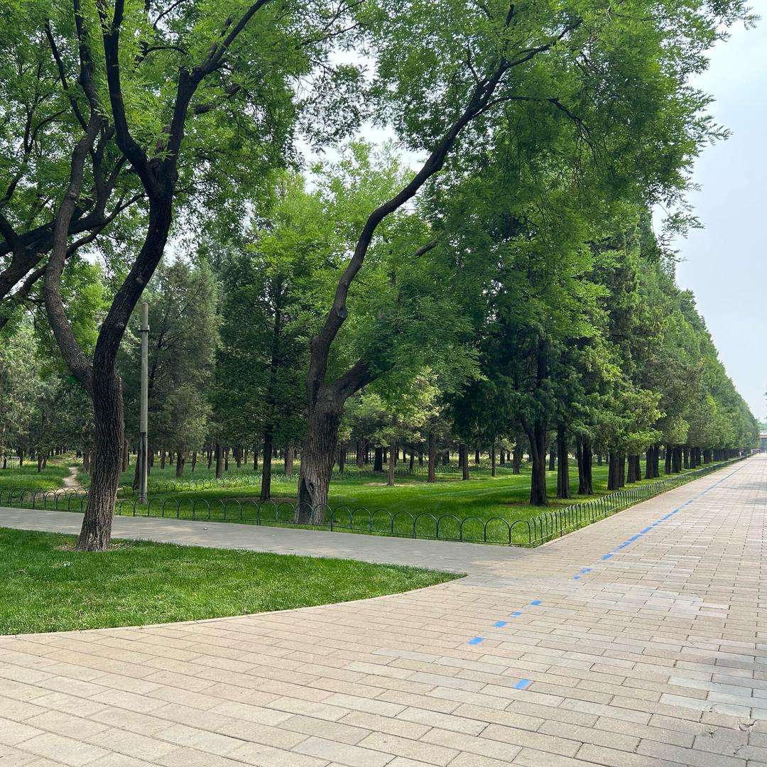 ⭐️🚩请叫我小郑⭐️🚩