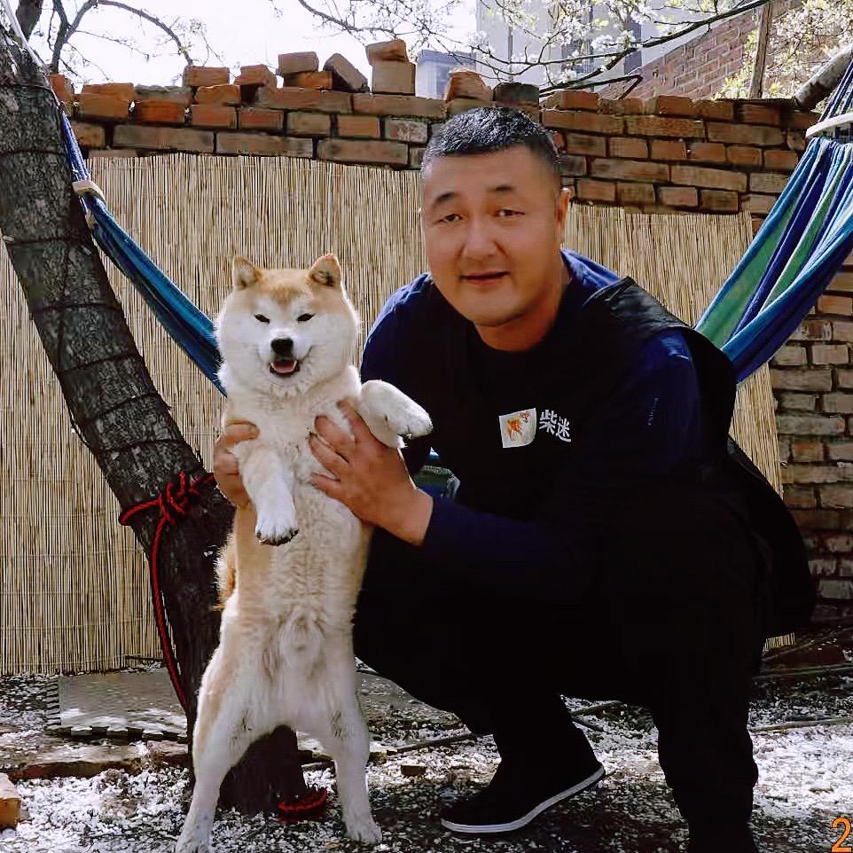 东北柴迷