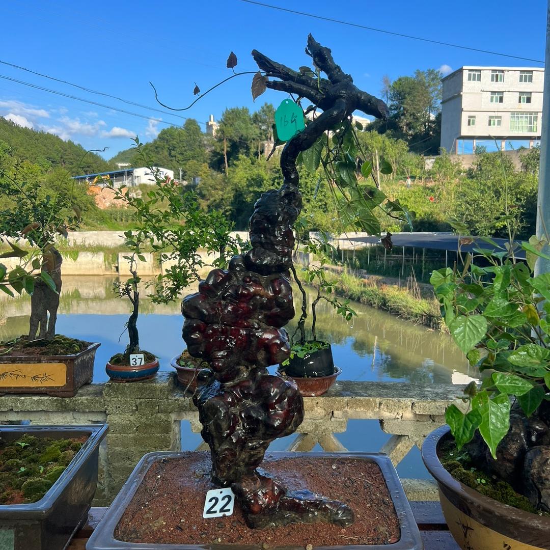 贵州山货土特产店