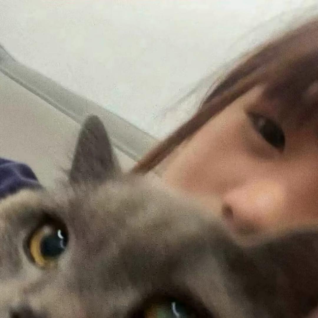 再次相遇有点难.