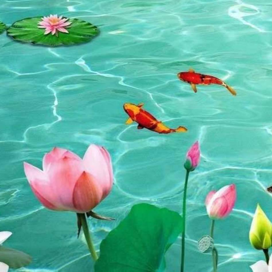 冷血无情之只对你有情