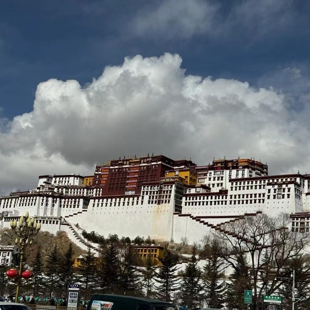 ༖ སྣང་ཕོར། 🐅