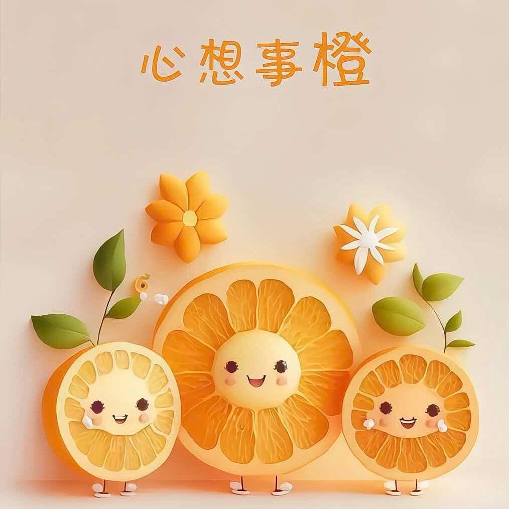 🌸♪。☆₊⁺生活号