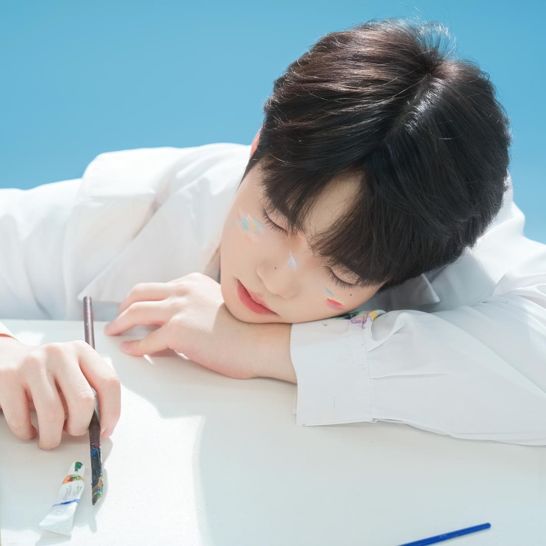 睡眠羊💤
